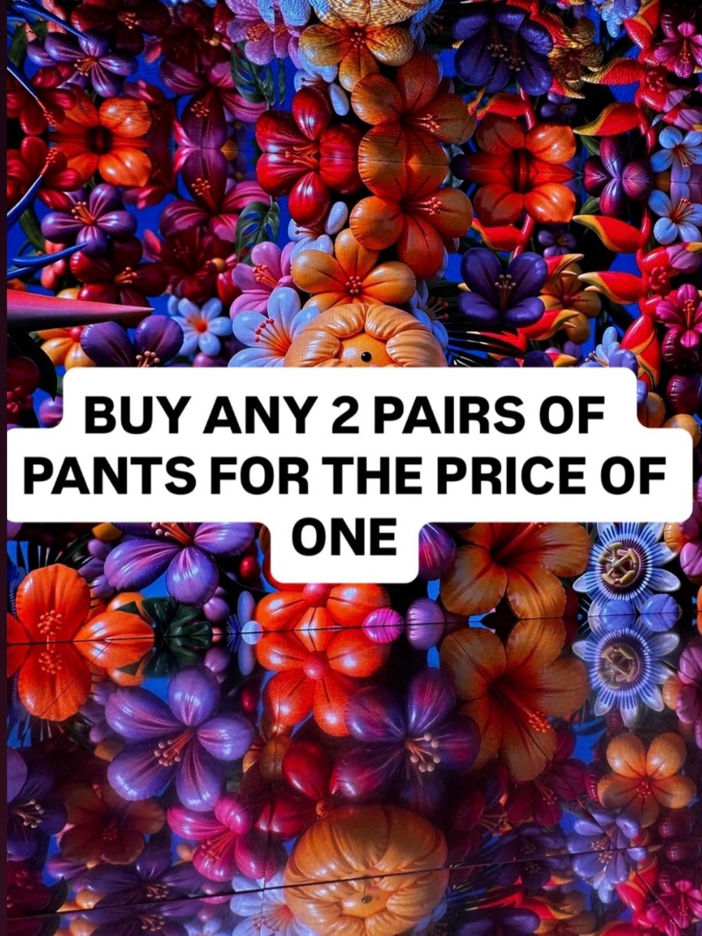 Offer on pants